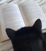 Jacqueline's Proofreading Services